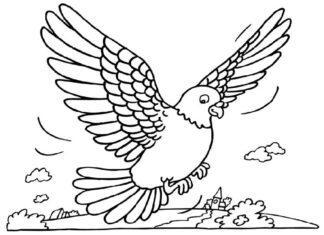 livre de coloriage "Pigeon en vol" à imprimer