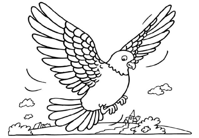 pigeon in flight coloring book to print
