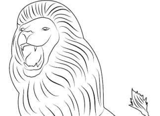 leone feroce aslan libro da colorare da stampare
