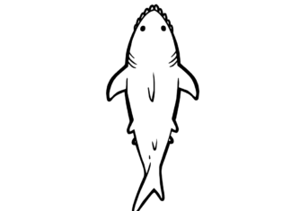 página de coloração das costas do tubarão imprimível