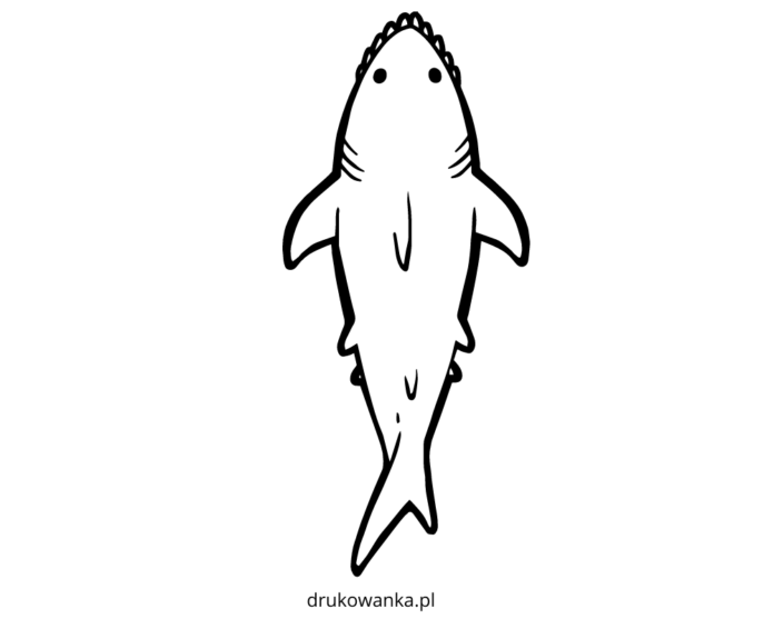 página para colorear de la espalda del tiburón