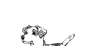 hungriger Hund mit einem Napf Malbuch zum Ausdrucken