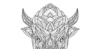 buffalo head zentangle färgläggningsbok som kan skrivas ut