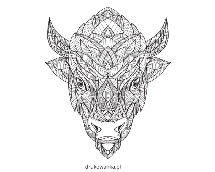 buffalo head zentangle färgläggningsbok som kan skrivas ut