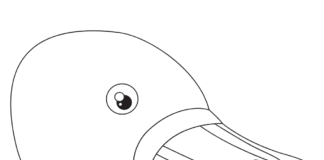 beak head coloring book to print