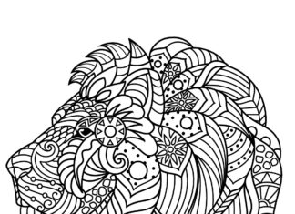 lion's head coloring book to print