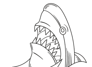 サメの頭の塗り絵の印刷