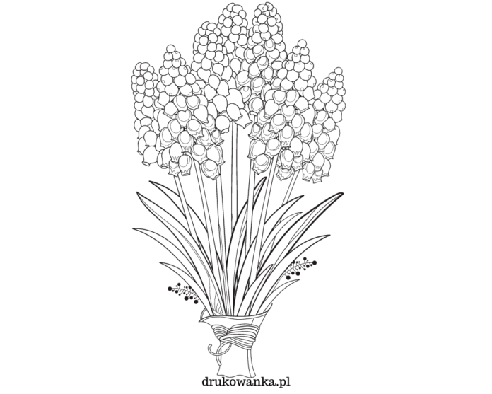 hyacintbuket buket til udskrivning til farvelægning