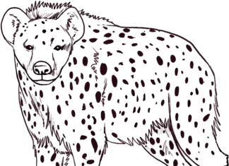 hyena som kan skrivas ut och färgläggas