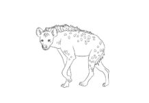 hyena from a fairy tale coloring book to print