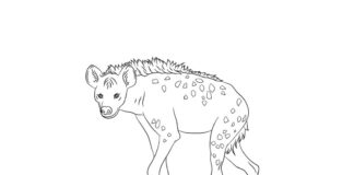 hyena from a fairy tale coloring book to print