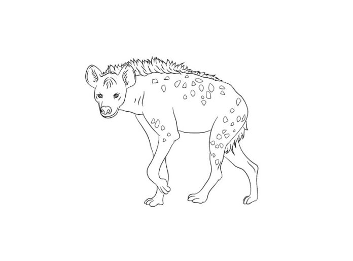 hyena z rozprávky maľovanky na vytlačenie