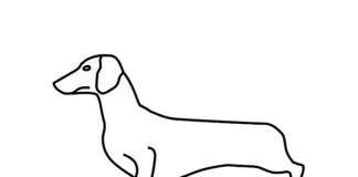 Dachshund do conto de fadas havia um livro para colorir cães para imprimir