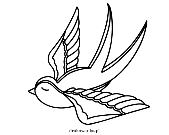 svalen fugl illustration malebog til udskrivning