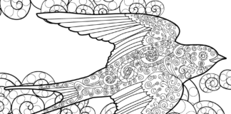 swallow in zentangle patterns coloring book to print