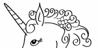 unicorn and pegasus coloring book to print