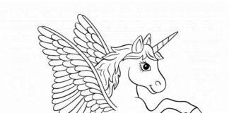 unicorn with wings coloring book to print