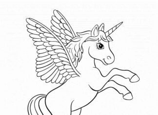 unicorno con le ali da colorare libro da stampare