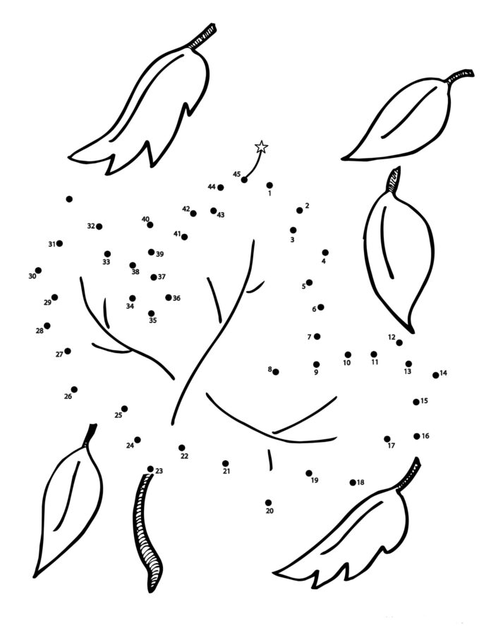 autumn tree connect the numbers coloring book printable