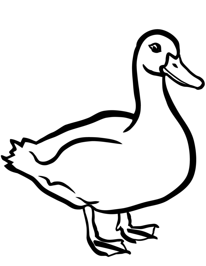 duck quack coloring book to print