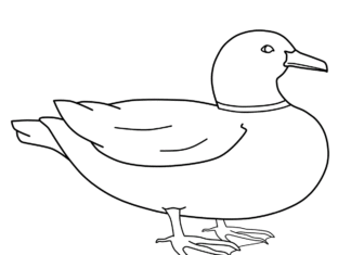 duck in the field coloring book to print