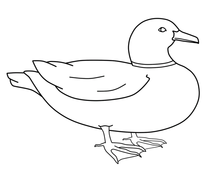 duck in the field coloring book to print