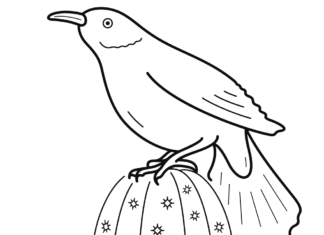 kanariefugl til børn, som kan udskrives og farvesættes