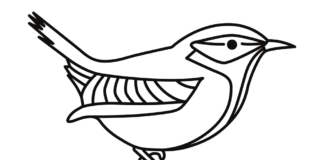 canary on a branch coloring book to print