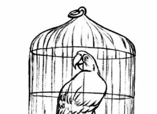 Kanarienvogel im Käfig Malbuch zum Ausdrucken