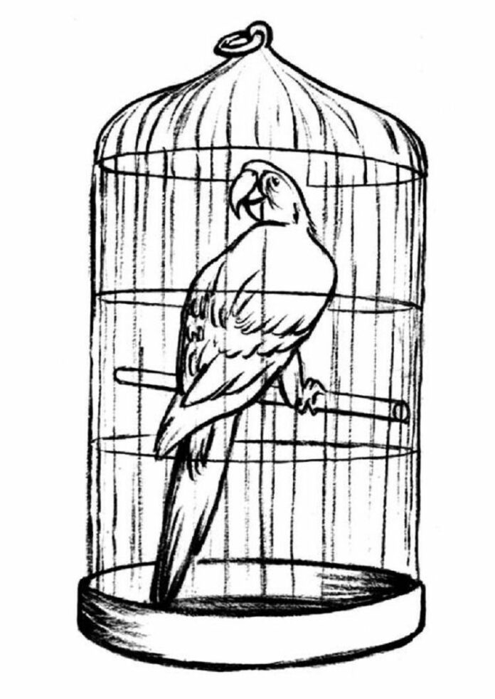 kanariefugl i et bur malebog til udskrivning