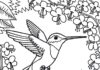 Kolibrík medzi stromami na vytlačenie