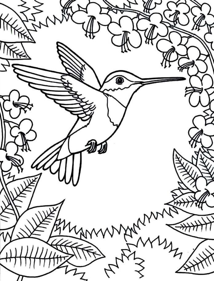 Kolibri a fák között nyomtatható kifestőkönyv