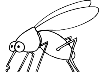 mosquito on a rock coloring book to print