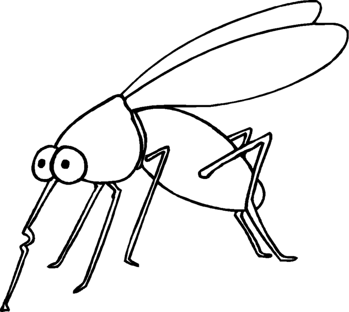 mosquito on a rock coloring book to print