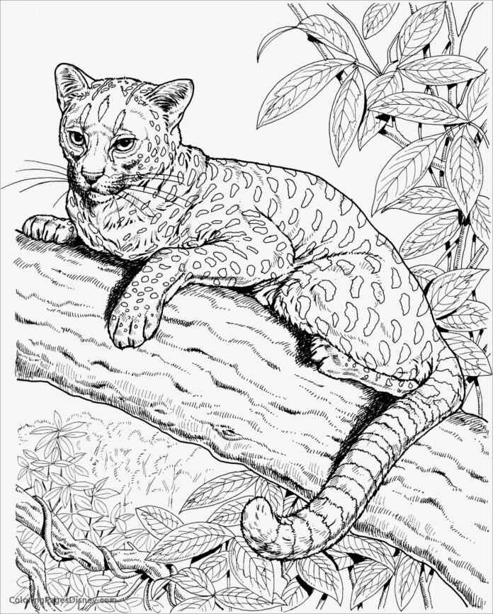 木の上のチーター猫塗り絵印刷用
