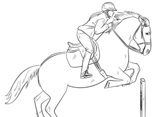 horse rider coloring book to print