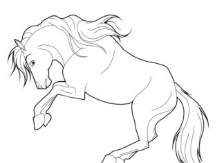 horse mustang coloring book to print