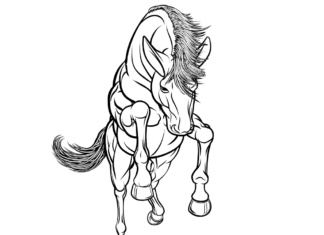 Kôň na zadných nohách omaľovánky k vytlačeniu