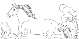 Kôň na úteku - omaľovánky na vytlačenie