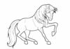 galloping horse coloring book to print