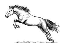 galloping horse coloring book to print