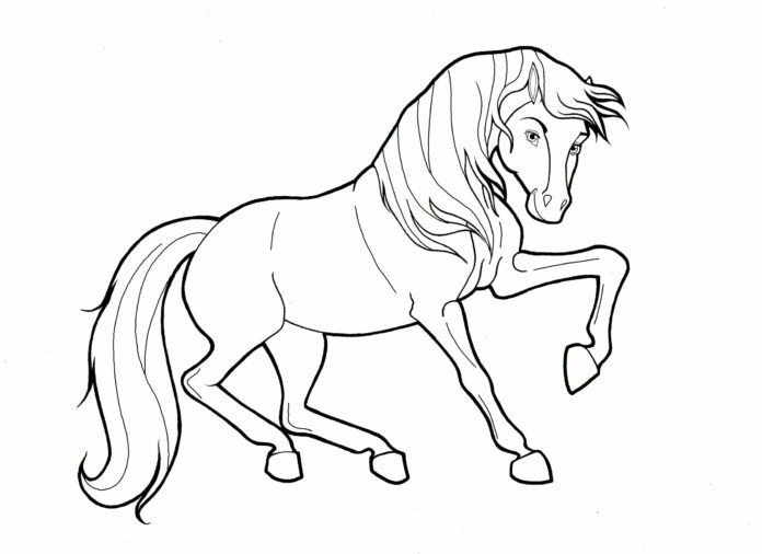 livre de coloriage du cheval galopant à imprimer