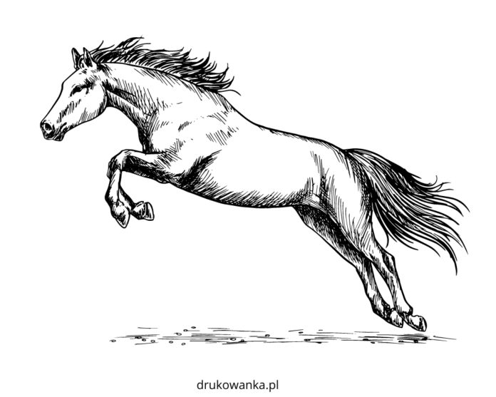 Galoppierendes Pferd Malbuch zum Ausdrucken