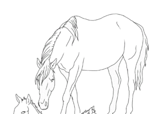 Kôň a žriebä na vyfarbovanie k vytlačeniu