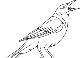 Krákajúca vrana omaľovánky na vytlačenie