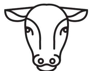 cow head coloring book to print