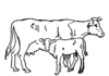 Krava a teliatko na vyfarbenie k vytlačeniu