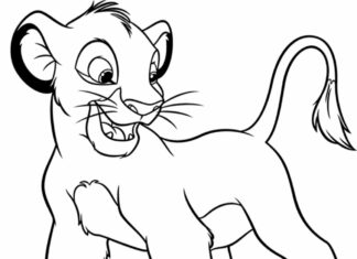 le roi lion simba livre à colorier imprimable