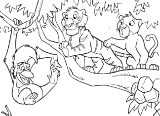 jungle book animals coloring book to print