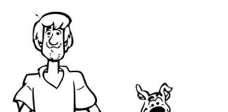 shaggy and a dog called scooby doo coloring book to print
